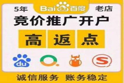 百度竞价排名策略解析：一家公司的广告投放策略全揭秘